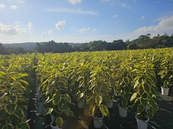 6cec2d60-f635-4afe-bbac-f6891af2df9f