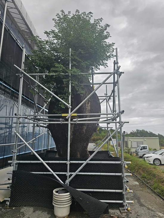 85a8a310-1c66-4d33-bb64-acfa366f4fa6