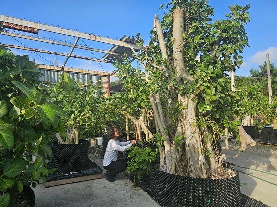 990f28ac-3448-4e0a-b305-0c5ee54c25e8