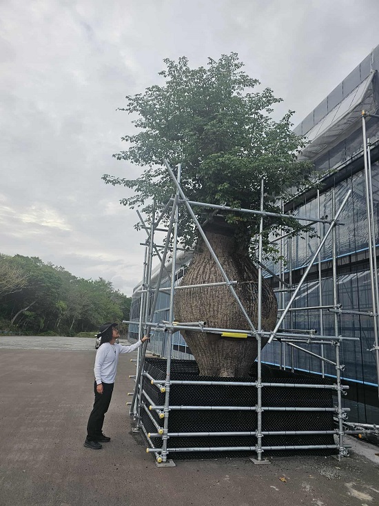 a8356cb7-813c-44d8-b646-45677f6f0536