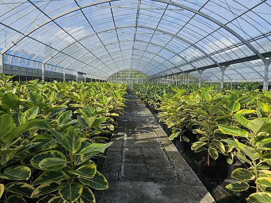 c5cedc8a-bde2-4066-949d-8822342e349b