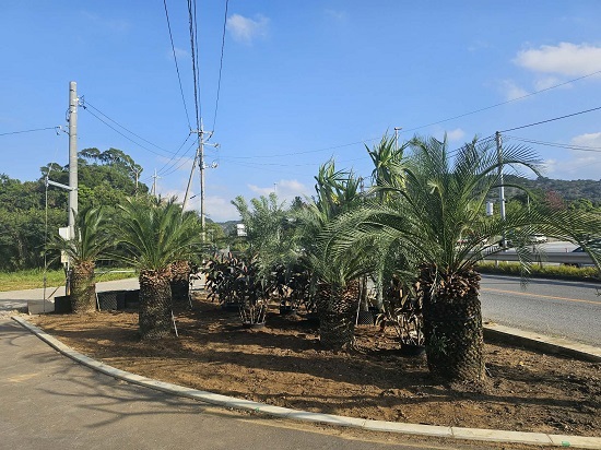 0102ae2d-67bf-4462-8562-2acabc95e442