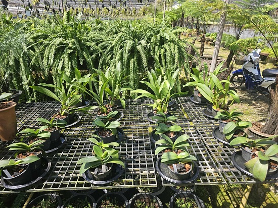 01061116-e576-4352-8a76-d0f5e6fb3001