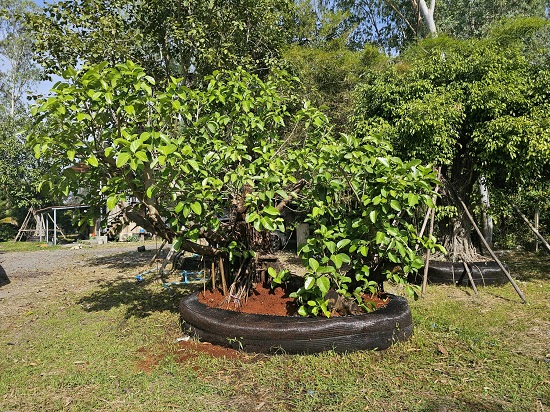 01454722-b83c-4f8f-a23c-9ca5a2146c81