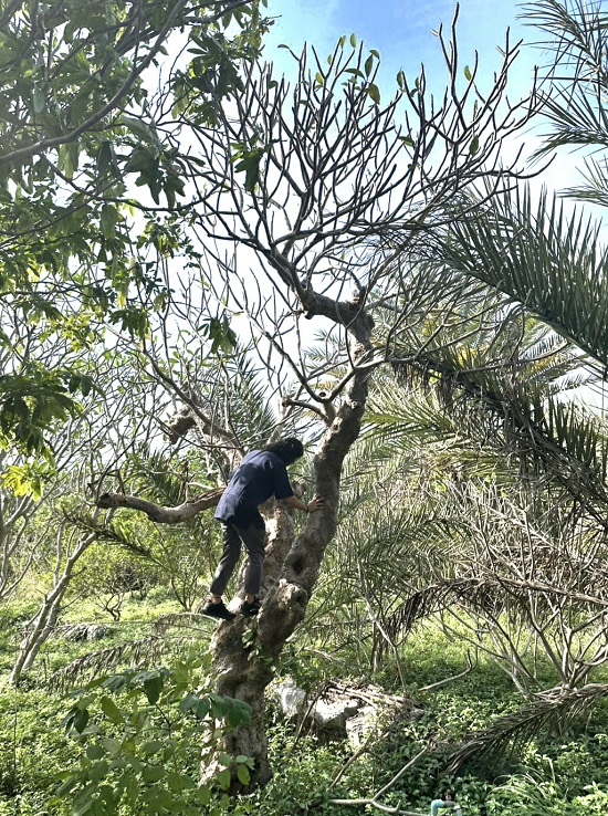 08819e30-4f87-464c-b29a-ef8f669985db