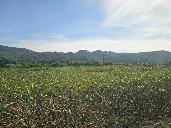 1897e956-1d7a-4c1c-9ba5-545678d465f7