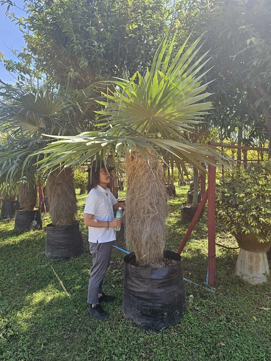 296f519a-745e-4075-9590-50c7b25ba8a0