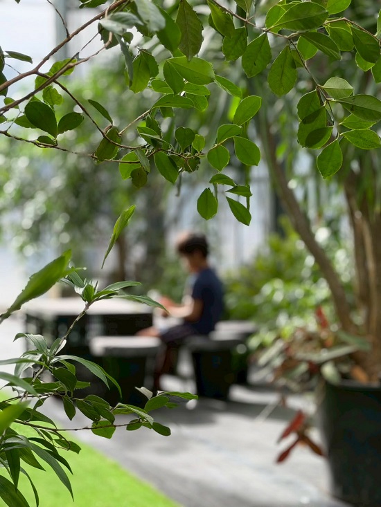 38cbf470-7f29-4431-8b03-b38994501b50