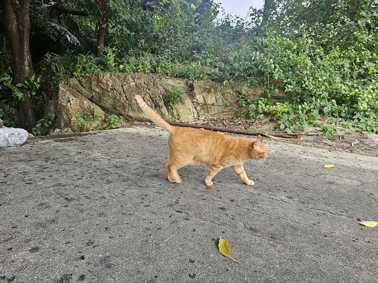 48c68c44-faad-47cd-802b-b23589ce243d