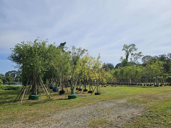 55ac957c-0841-4623-8202-8ccacfc38e80