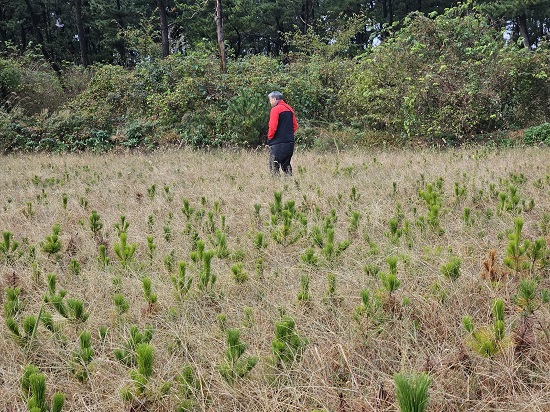 57018b90-aeb4-4b2a-8489-d16cb67ebf41