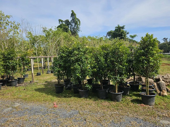 6ee4992c-d758-4396-93e6-54ac9997f0ef