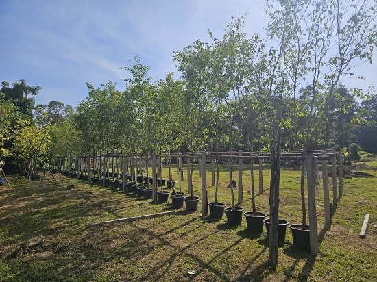 7360a266-db9e-4891-b9da-be9b4c26cd34