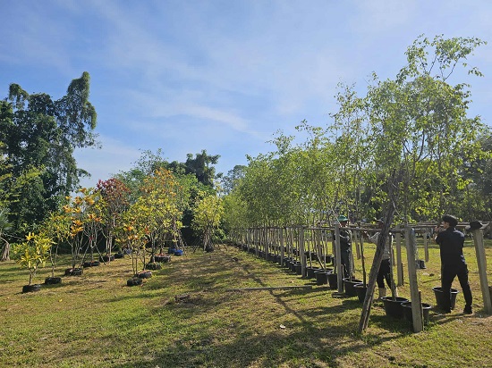 84b0555f-5de6-46be-ad40-8a8e9811bac6