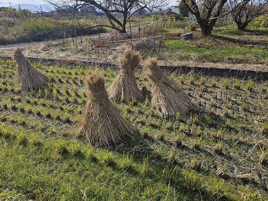 8ba43996-95b7-4eeb-b921-0a300f310ccb