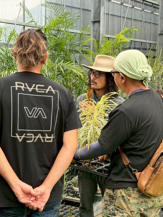 8c960952-f132-4021-8277-91e3cf888084