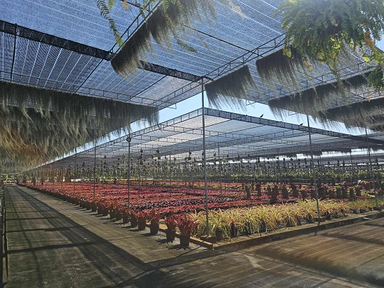 d8d11355-46d3-477f-aba4-1209d72ea7fd