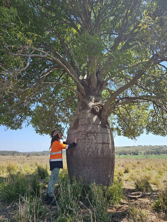 e3e9b8f6-9ac6-46b1-97ab-f357476e821c