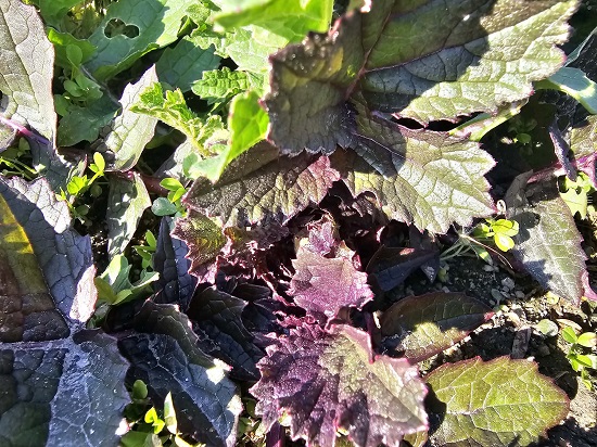 f19bec62-9826-4d83-8763-de687d202c64