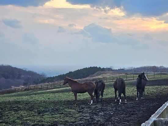 f5368e57-fc4b-41f3-bfec-65c6e535e859