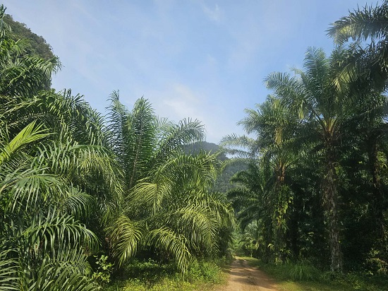 223df1c5-bb90-4e0d-8a30-38277cd37054