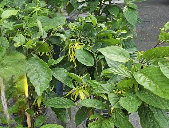 26ab4434-f2b9-4296-aae4-f92db9198719