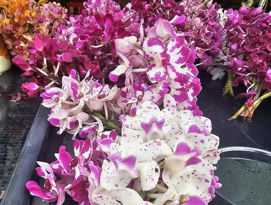 36e1720f-ff2c-4342-ba90-b97024fe9fc8