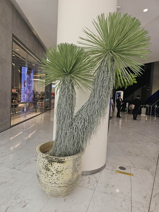 433f4fff-34f5-40dc-b5a5-9df91433459f