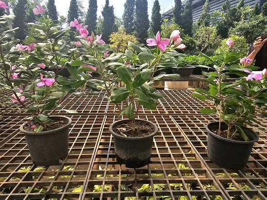 7a5888e1-993f-42ac-a65e-37783f9777d9