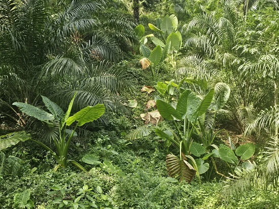 804a3207-631a-45de-be43-0f0754d15346