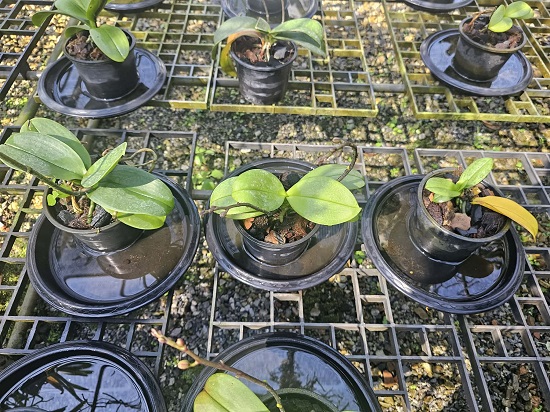 9724fa1d-0240-4ecc-adb6-67927b74674c