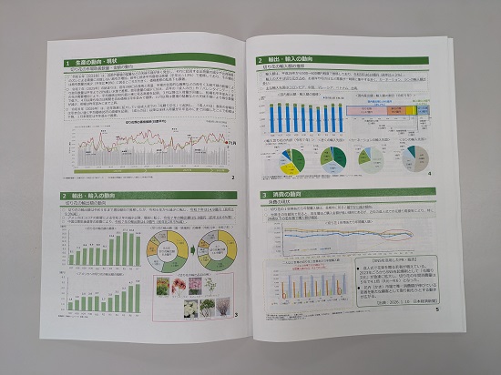 PXL_20260225_003301294