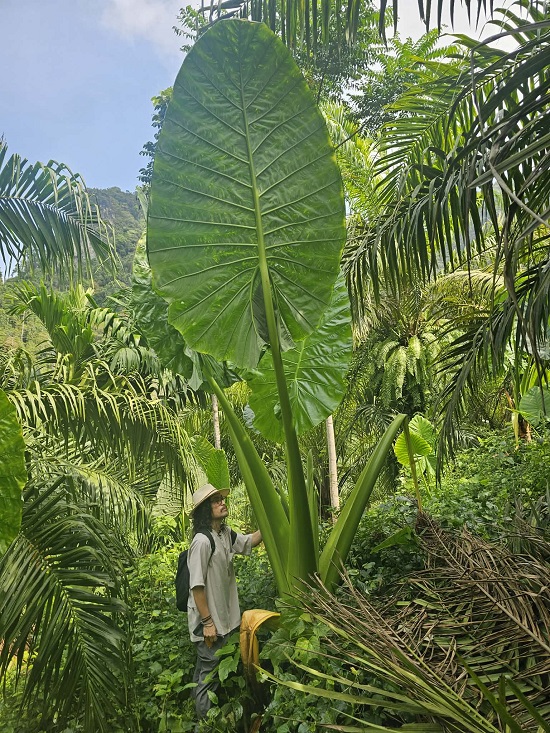 b04353f1-704b-40d6-8a61-634112af4346