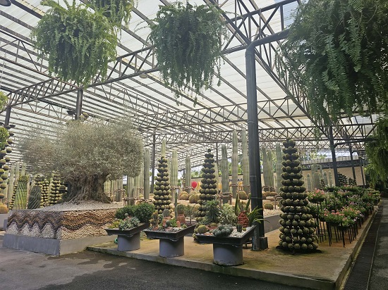 bdd98879-0859-4214-aaee-966258d4bf43