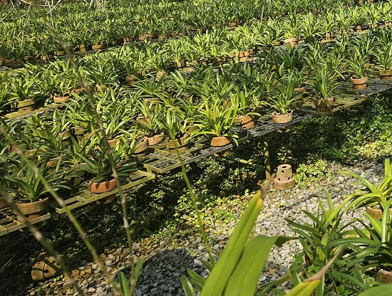 bef4c257-f4ba-4897-a48e-b531fd7648bd