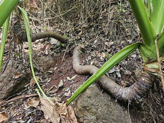 c5d85bd0-9aa4-4058-ad58-60a76d58a075