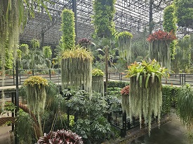 c61fed22-3dca-45e5-b62f-d056d9fd81b4