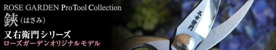 mataemon_banner.gif