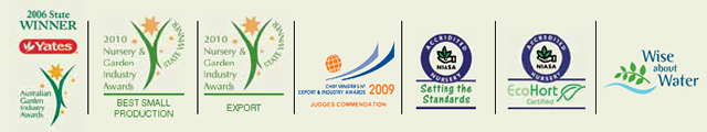 CYCAD INTERNATIONAL
