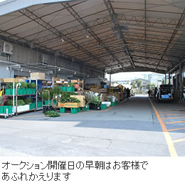 花市場の様子